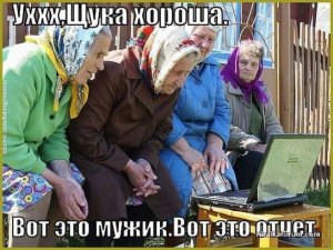 image (28).jpg