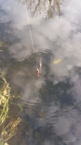 20160319_154319.jpg