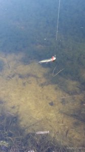 20160319_160751.jpg