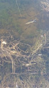 20160319_160806.jpg