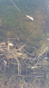 20160319_160809.jpg