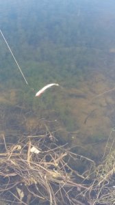 20160319_160813.jpg