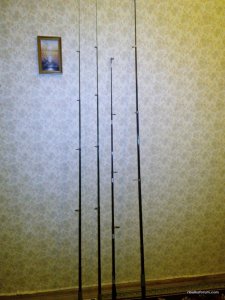 IMG_20160319_193151.jpg