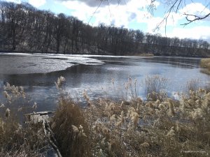 IMG_20160319_115605.jpg