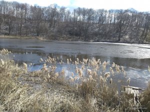 IMG_20160319_115609.jpg