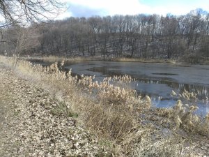IMG_20160319_115613.jpg