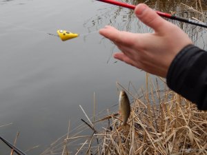 DSCN4515.JPG