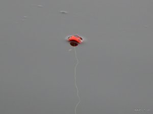DSCN4530.JPG