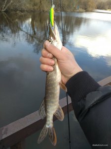 IMG_20160319_150254.jpg