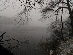 IMG_20160319_164451.jpg