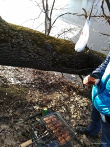 IMG_20160319_161234.jpg
