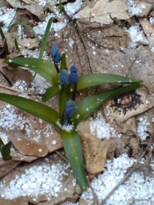 IMG_20160319_163357.jpg