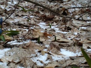 IMG_20160319_163338.jpg