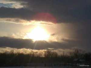 IMG_20160319_171028.jpg