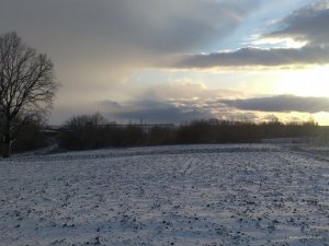 IMG_20160319_171113.jpg