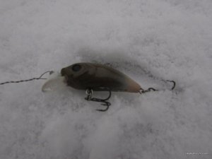 IMG_2086.JPG