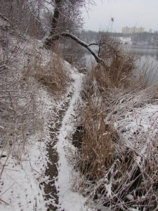 IMG_2099.JPG