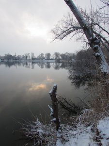 IMG_2098.JPG