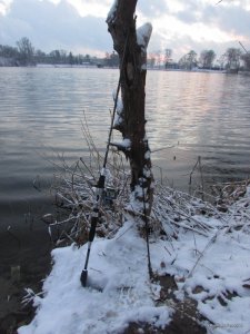 IMG_2111.JPG