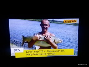 IMG_20160320_200950.jpg