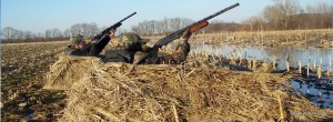 Alex_and_Reese_hunting_(6887006605).jpg