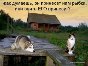 p19r31b4l6u1b1m6614hpkjf4c61.jpg