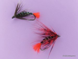 DSCN1690.JPG