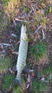 20160323_064241.jpg