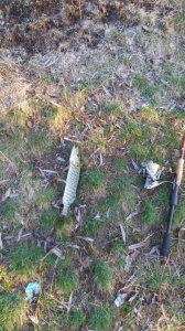 20160323_064235.jpg
