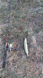 20160323_060711.jpg