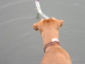 DSCN9528.jpg