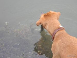 DSCN9530.jpg