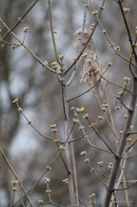 IMG_7475.JPG