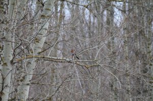 IMG_7476.JPG
