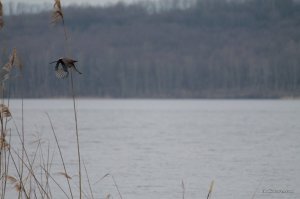 IMG_7478.JPG