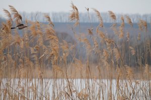 IMG_7480.JPG