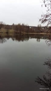 20160326_094930.jpg