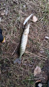 20160326_083117.jpg