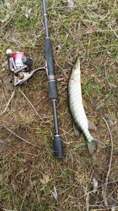 20160326_103120.jpg