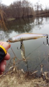 20160326_103739.jpg