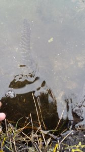 20160326_115331.jpg