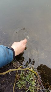 20160326_115341.jpg