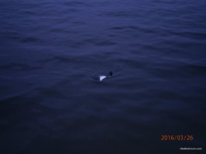 Изображение 044.jpg