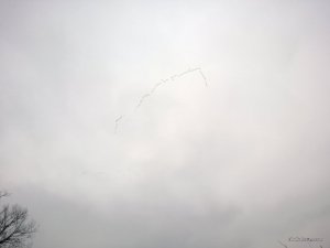 WP_20160326_12_52_19_Pro.jpg