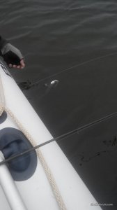 2016326123257.jpg