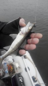 2016326123223.jpg