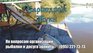 bdc0ad99-854d-4733-b0e2-1395f65a7518.jpg