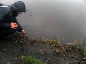 IMG_20160327_180453.jpg