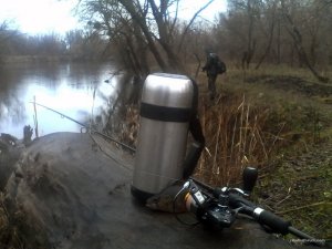 IMG_20160327_160219.jpg