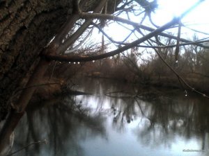 IMG_20160327_163223.jpg